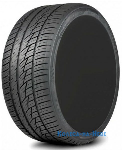 Delinte DS8 315/30 R22 107Y  